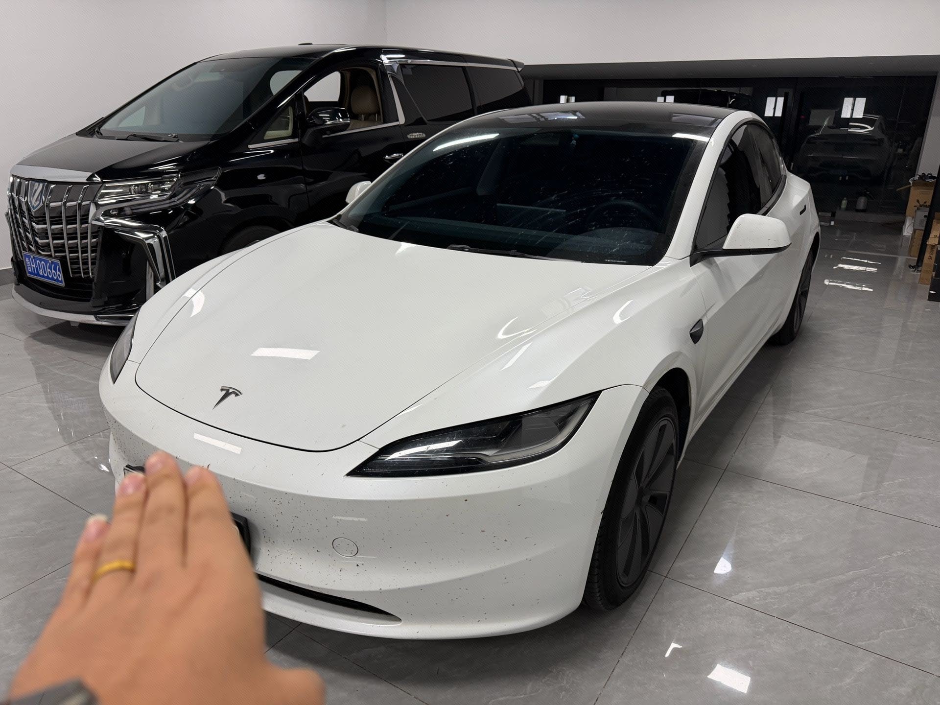 Tesla Model 3 2024 Tesla Model 3 2024 صورة سيارة