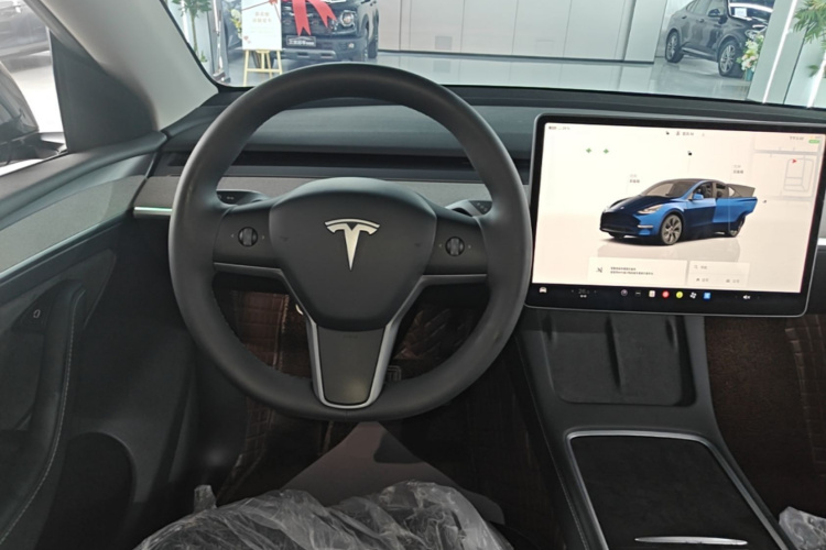 Tesla Model Y 2025 car image #15