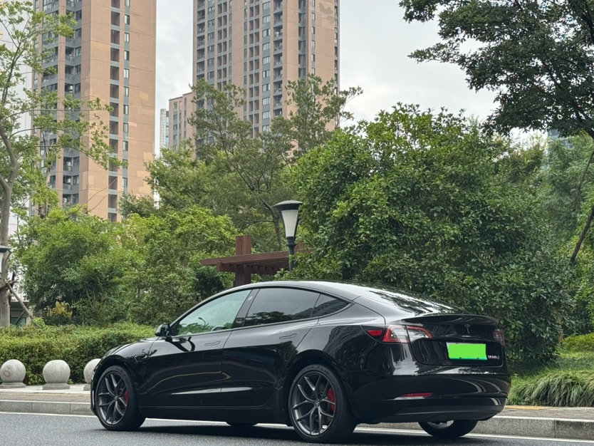 Tesla Model 3 2022 car image #8