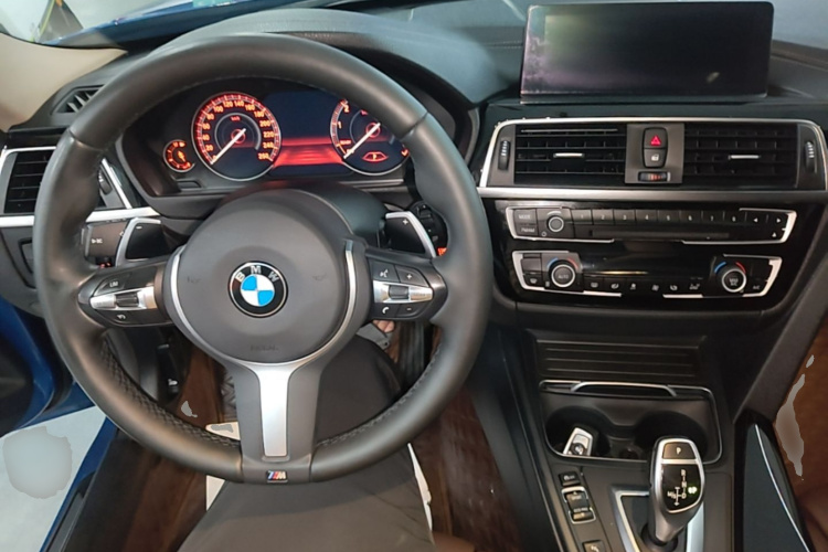 BMW 3 Series 2019 car image #10
