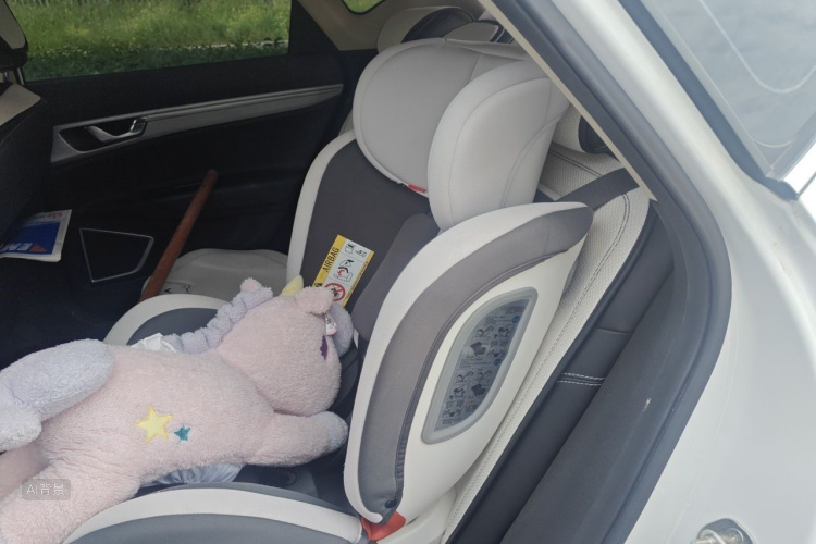 GEELY Emgrand GS 2019 car image #19