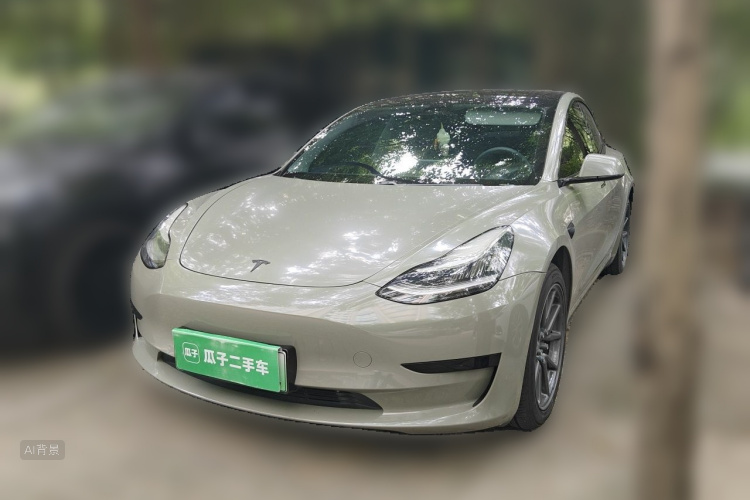 Tesla Model 3 2020 car image #2
