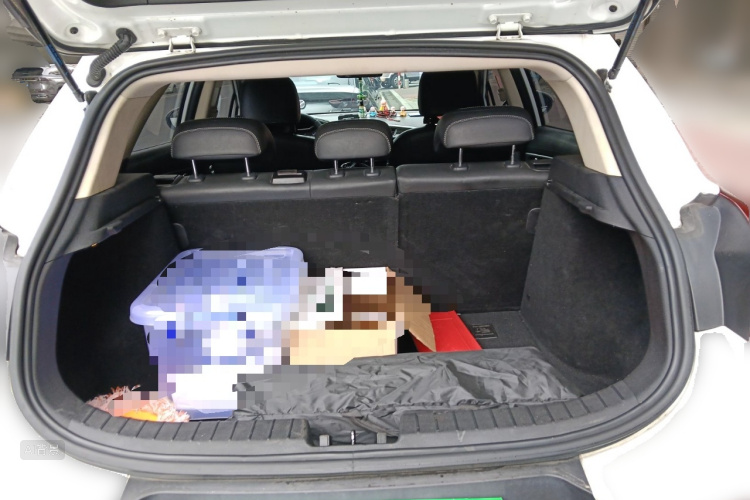 GEELY Emgrand GS 2017 immagine di auto #21