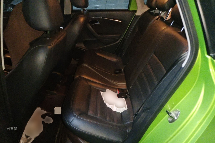 Volkswagen Polo 2014 car image #19