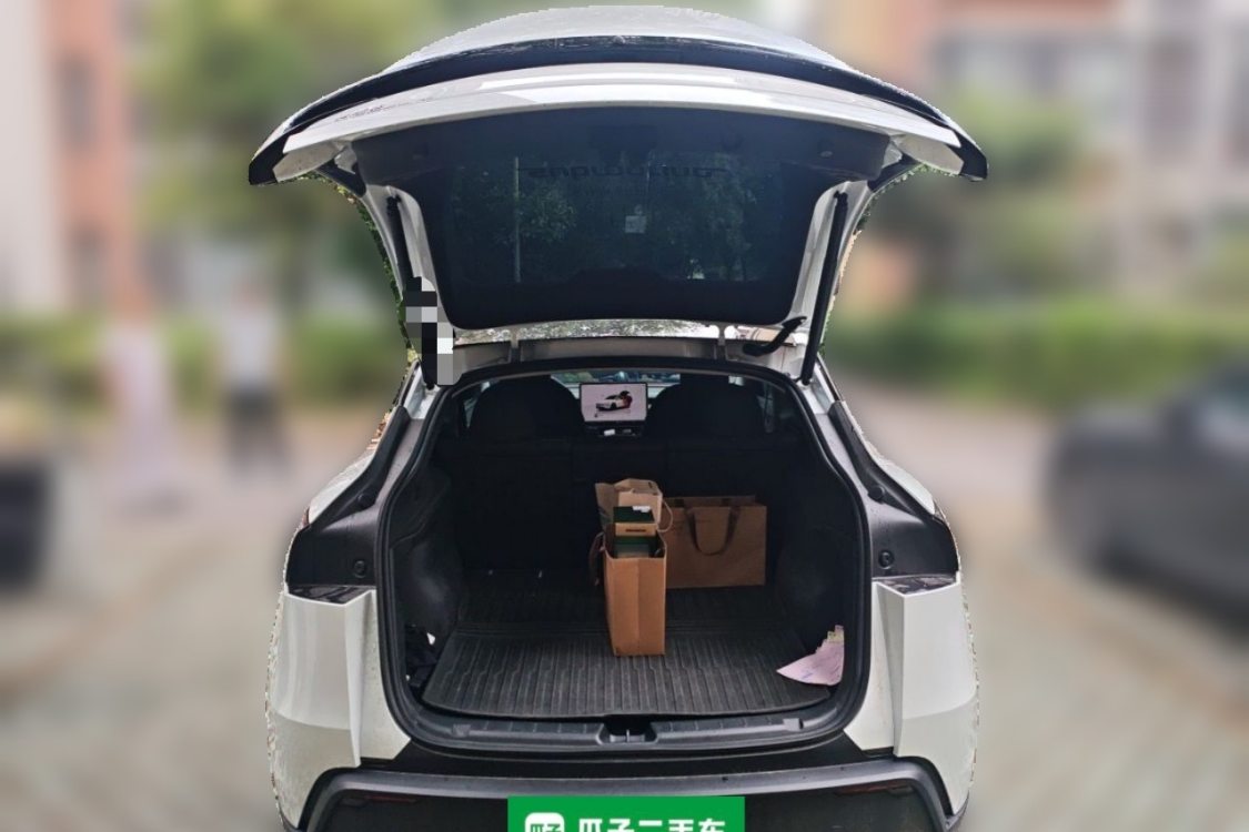 Tesla Model Y 2025 immagine di auto #8