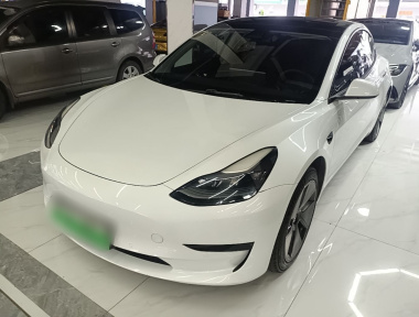Tesla Model 3 2021 immagine di auto 