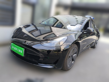Tesla Model 3 2021 car image 