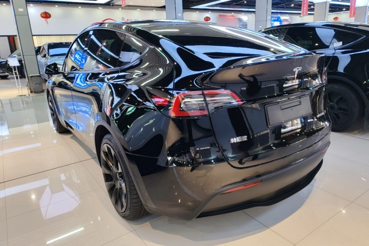 Tesla Model Y 2021 car image #5