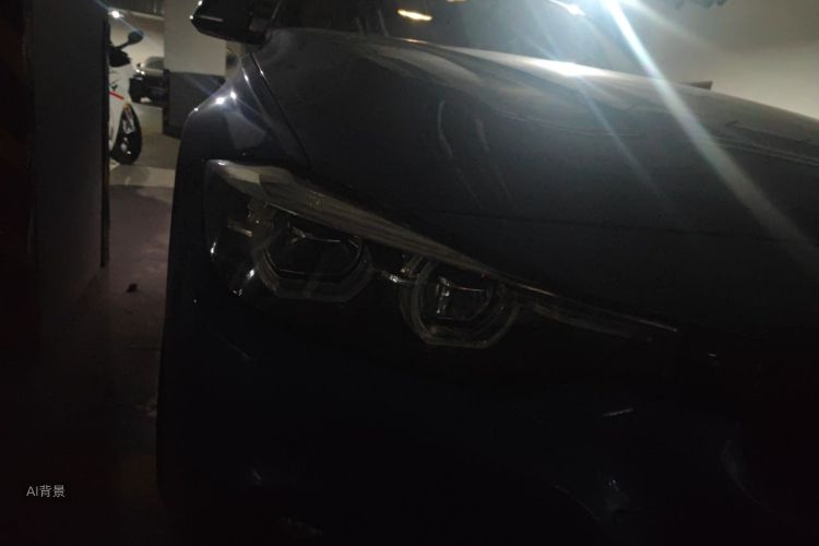 BMW 3 Series 2018 car image #8