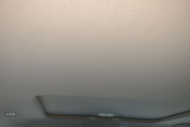 Volkswagen Lavida 2020 car image #20