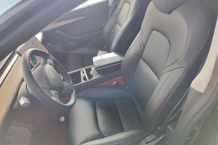 Tesla Model 3 2021 car image #15