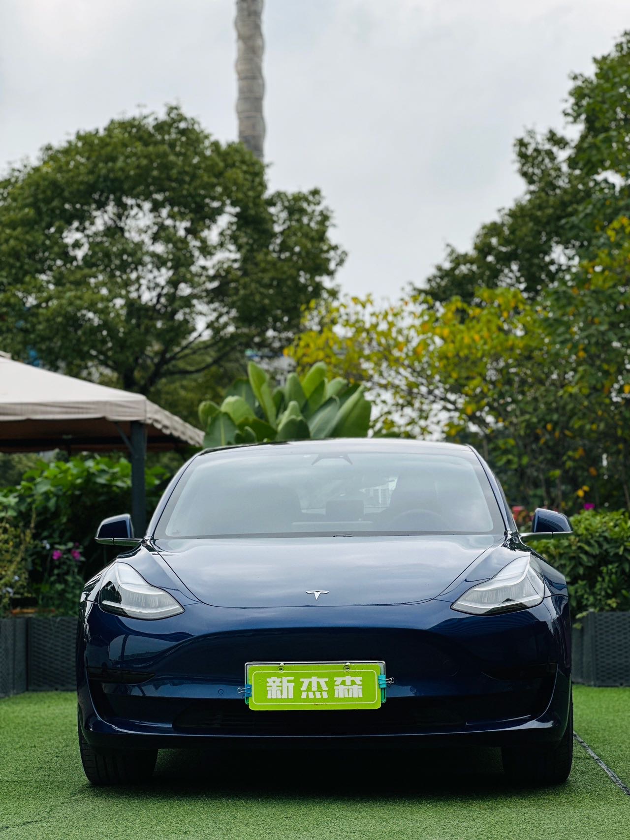 Tesla Model 3 2020 #2 Tesla Model 3 2020 car image #2
