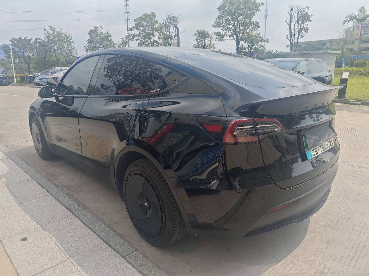 Tesla Model Y 2021 car image #8