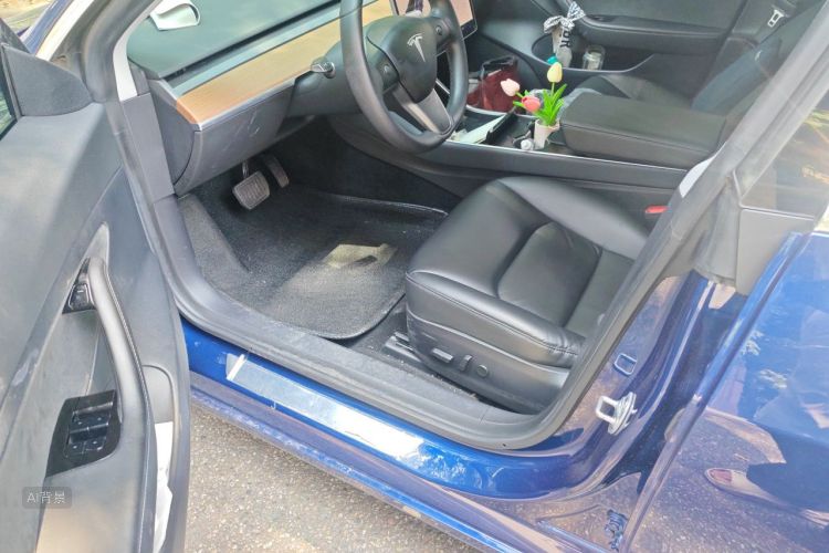 Tesla Model 3 2020 car image #18