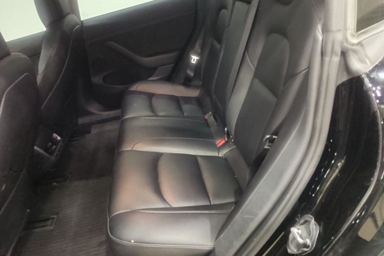 Tesla Model 3 2021 car image #13