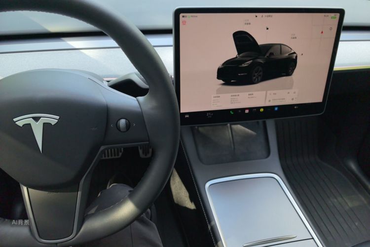 Tesla Model Y 2023 car image #13