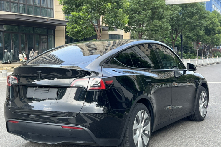 Tesla Model Y 2023 #8 Tesla Model Y 2023 car image #8