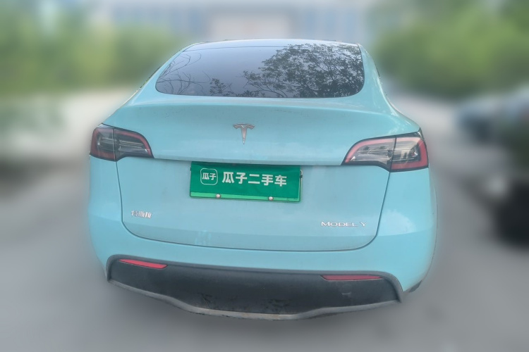 Tesla Model Y 2022 car image #6