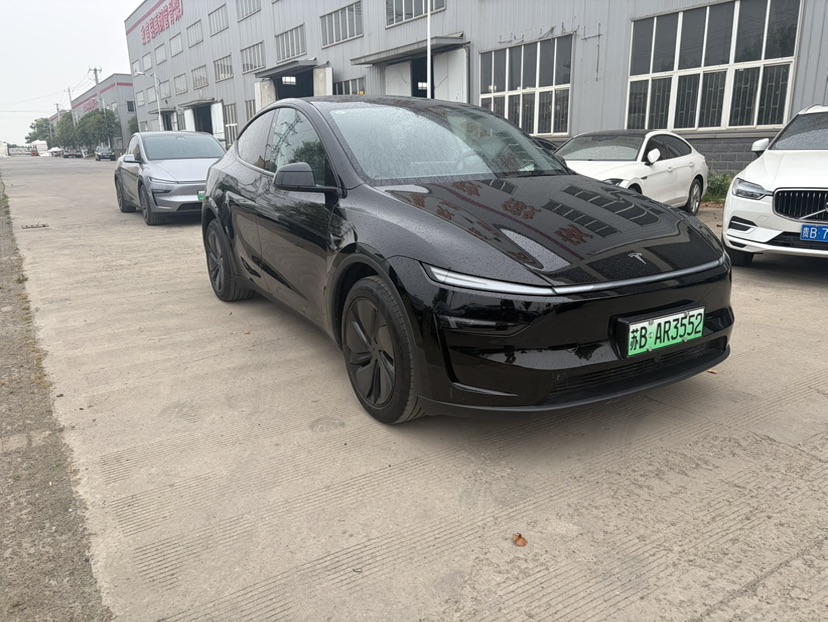 Tesla Model Y 2025 car image #3