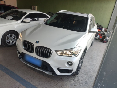 BMW X1 2019 car image 