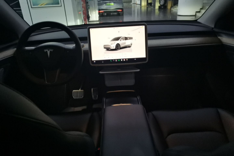 Tesla Model Y 2023 car image #10
