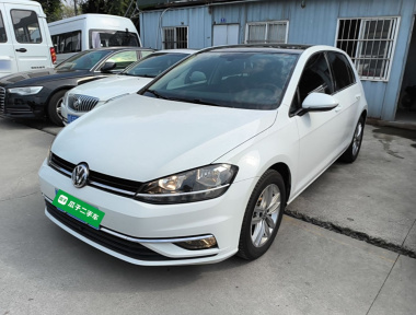 Volkswagen Golf 2019 car image 