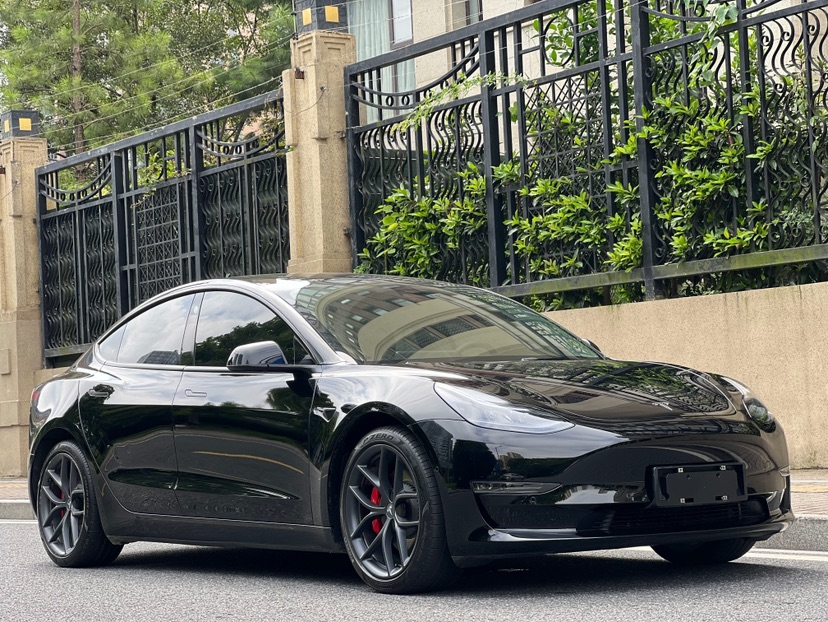 Tesla Model 3 2021 #3 Tesla Model 3 2021 car image #3