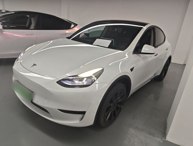 Tesla Model Y 2023 car image 
