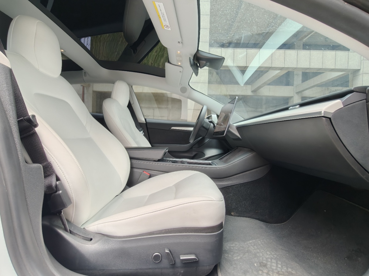 Tesla Model 3 2021 immagine di auto #7