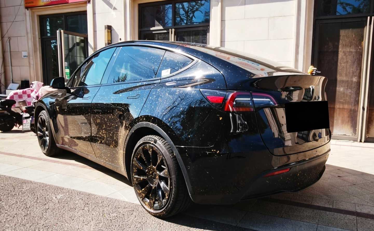 Tesla Model Y 2022 #7 Tesla Model Y 2022 car image #7