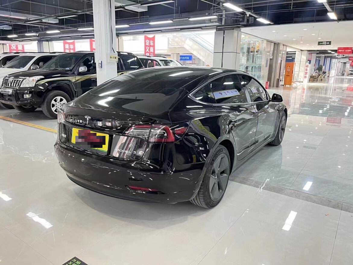 Tesla Model 3 2023 #9 Tesla Model 3 2023 car image #9