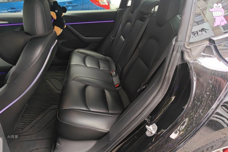 Tesla Model 3 2021 immagine di auto #19