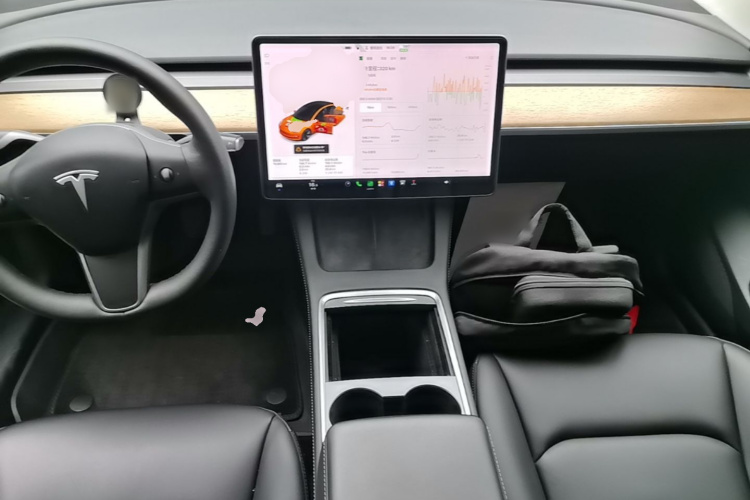 Tesla Model 3 2021 #10 Tesla Model 3 2021 car image #10