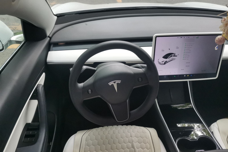 Tesla Model 3 2020 car image #15