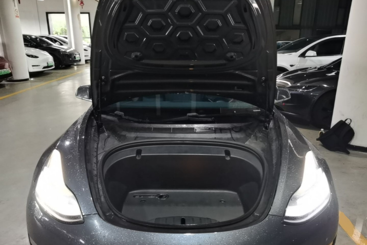 Tesla Model 3 2020 car image #20