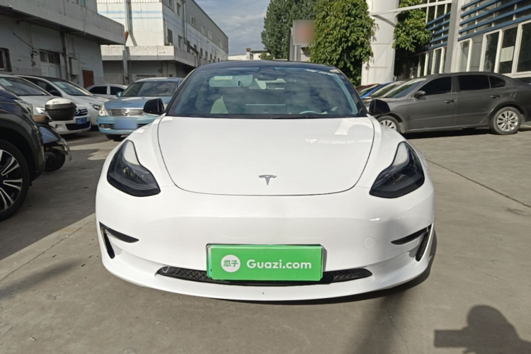 Tesla Model 3 2021 #3 Tesla Model 3 2021 car image #3