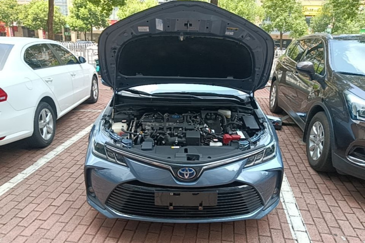Toyota Corolla 2022 car image #20