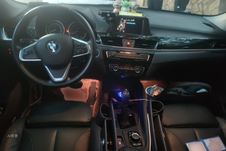 BMW X1 2017 #11 BMW X1 2017 immagine di auto #11