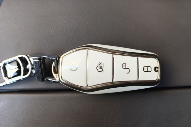BYD Han 2023 image de voiture #9