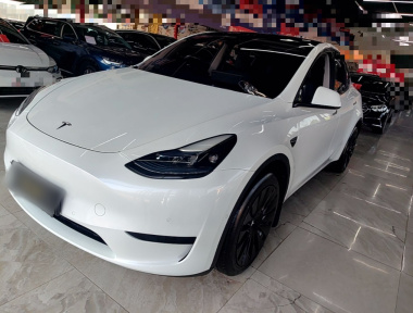 Tesla Model Y 2023 immagine di auto 