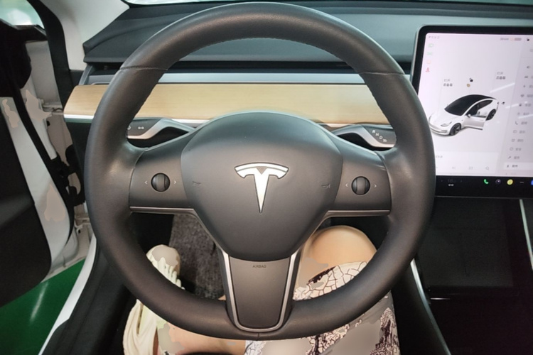 Tesla Model 3 2020 #11 Tesla Model 3 2020 car image #11