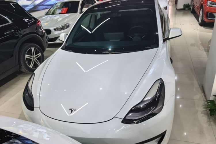 Tesla Model 3 2021 #3 Tesla Model 3 2021 car image #3