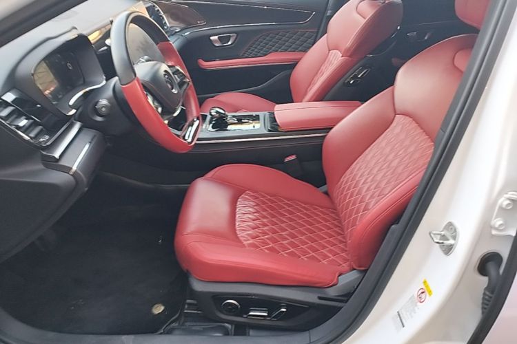 BYD Han 2021 car image #15