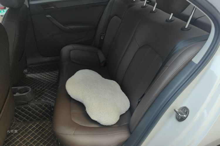 Volkswagen Santana 2019 car image #19