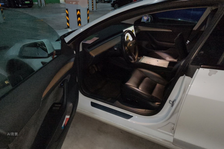 Tesla Model 3 2022 #18 Tesla Model 3 2022 car image #18