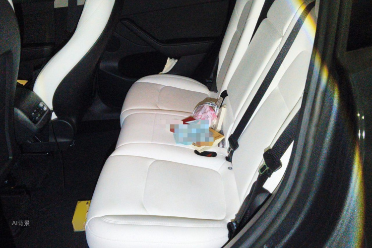 Tesla Model Y 2023 car image #19