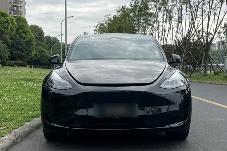 Tesla Model Y 2022 car image #4