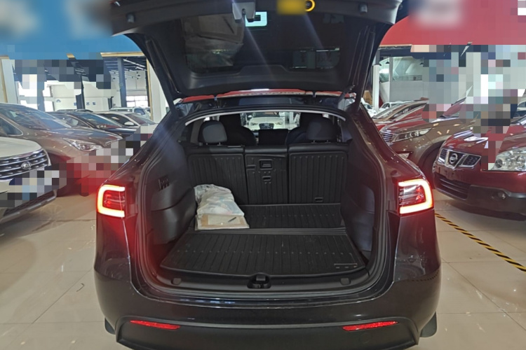 Tesla Model Y 2024 #19 Tesla Model Y 2024 car image #19