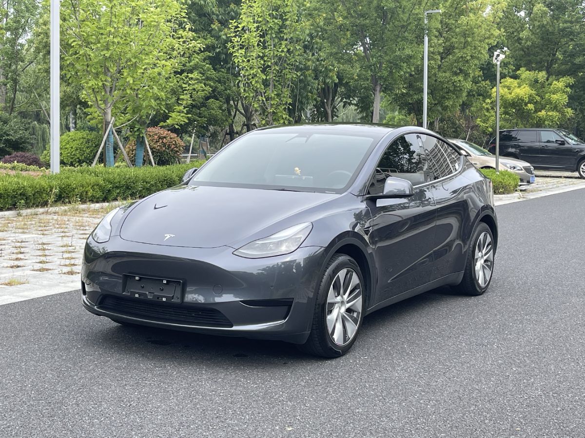 Tesla Model Y 2022 car image 