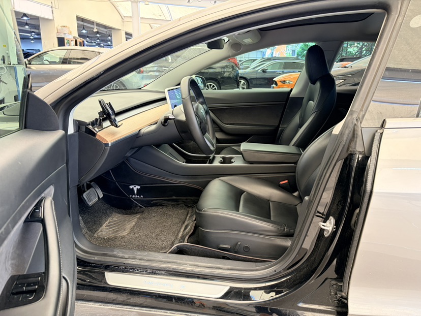 Tesla Model 3 2020 car image #5